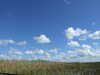 20120126113606-DSCF8875.JPG