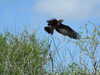 20120126114302-DSCF8877.JPG