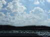 20120126115059-DSCF8879.JPG