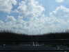 20120126115105-DSCF8880.JPG
