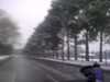 20120205163702-Bromley-20120205-00155.jpg