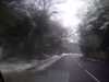 20120205163809-Bromley-20120205-00157.jpg