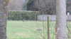 2012-03-06:Badger at Crockham Park
