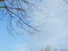 20120320122435-IMG_7374.JPG