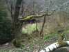 2012-03-31:Hebden Bridge
