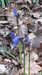 2012-04-06:East Runton and Cromer
