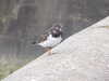 20120406153240-IMG_7547.JPG