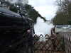 20120407123303-DSCF8969.JPG
