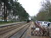 20120407123536-DSCF8974.JPG