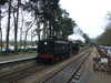 20120407123556-DSCF8975.JPG