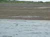 20120408102605-DSCF9012.JPG