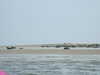 20120408102828-DSCF9014.JPG