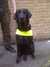 20120426174842-Camden-20120426-00016.jpg