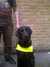 20120426174850-Camden-20120426-00017.jpg