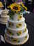 20120428113220-DSCF9060.JPG