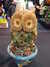 20120428113745-DSCF9069.JPG