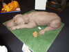 20120428114247-DSCF9074.JPG