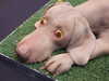20120428114305-DSCF9076.JPG