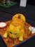 20120428114315-DSCF9077.JPG
