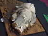 20120428114332-DSCF9079.JPG