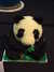 20120428114428-DSCF9081.JPG