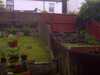 2012-06-05:Garden Fence
