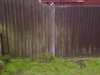 20120605170144-Bromley-20120605-00003.jpg