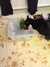 2012-07-06:cats
