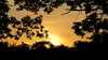 2012-07-15:crockham park

