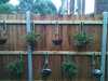 2012-07-27:Garden

