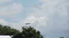 20120804132352-IMG_7866.JPG
