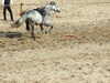 20120916161510-DSCF9149.JPG