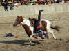 20120916162035-DSCF9154.JPG