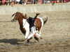 20120916162052-DSCF9156.JPG
