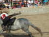 20120916162118-DSCF9157.JPG