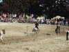 20120916162219-DSCF9158.JPG
