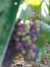 20120917101512-DSCF9164.JPG