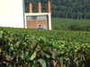 20120917101852-DSCF9171.JPG