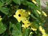 20120917102235-DSCF9173.JPG
