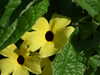20120917102242-DSCF9174.JPG