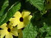 20120917102245-DSCF9175.JPG