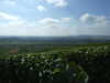20120917115200-DSCF9187.JPG