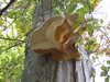 20120917120332-DSCF9196.JPG