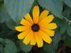 20120922131637-DSCF9227.JPG