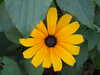 20120922131644-DSCF9228.JPG