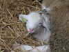 20120927102735-DSCF9246.JPG