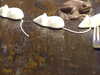 20130105103718-DSCF9351.JPG
