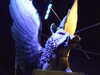 20130105104150-DSCF9359.JPG
