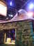 20130105113403-DSCF9435.JPG