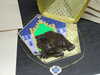 20130105121859-DSCF9465.JPG